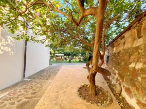 A garden outside Exclusive Riverside House in the Center of Bosa - Private Garden and Parking" Bosa Apartments