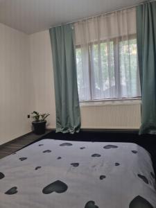 Gallery image of Casa Andreea in Mediaş