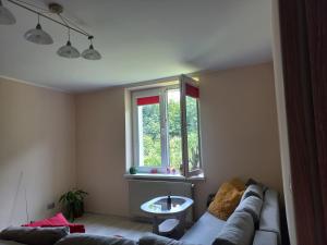 a living room with a couch and a window at U Wioli in Lubawka