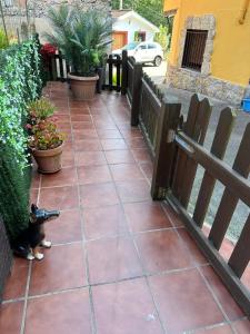 a cat is sitting on a brick sidewalk next to a fence at Casa rural in Mestas del Con