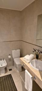 een badkamer met een wit toilet en een wastafel bij Moderno 2 Ambientes con cochera in Tandil