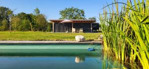 a house with a pool of water in front of a building at The Poolhouse in Buitenpost