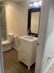 a bathroom with a sink and a toilet and a mirror at Lower Unit Entire Apartment in Cambridge +5 photos