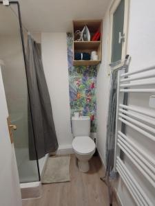 un piccolo bagno con wc e doccia di Studio L'Occitan en plein centre ville avec balcon a Lézignan-Corbières