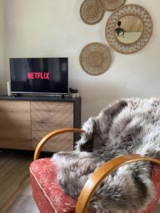 TV a/nebo společenská místnost v ubytování Chata na Chytrově