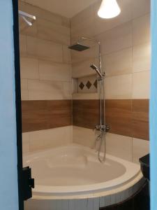 a bath tub with a shower in a bathroom at SRG Villa in Grand Baie
