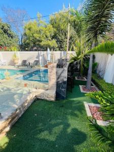 プレトリアにあるTG Villa Menlynのヤシの木がある裏庭