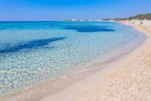 una spiaggia con acqua blu, sabbia e alberi di Casa Arcamaria - Appartamento ad Avetrana