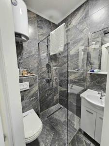 a bathroom with a shower and a toilet and a sink at Cube Gray in Mostar
