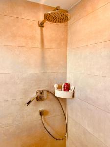 a shower in a bathroom with a shower head at Casa Treveris II in Trier