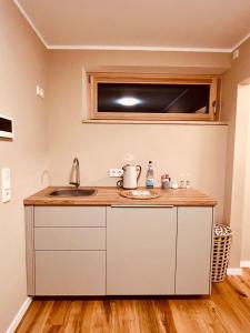 a kitchen with a sink and a counter top at Casa Treveris II in Trier +13 photos