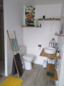 a bathroom with a toilet and a sink at Chez alexia et cédric in Joué-sur-Erdre +1 photo