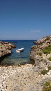 Φυσικό τοπίο κοντά σε αυτή η εξοχική κατοικία +1 φωτογραφίες