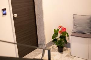Fotografie z fotogalerie ubytování La casa di mest Pepp v destinaci Monopoli