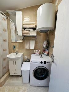 a small bathroom with a washing machine and a sink at Apartment Simon 01 in Bar +9 photos