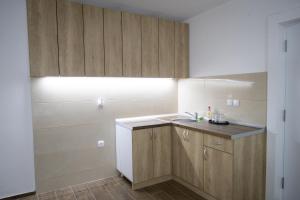 a kitchen with wooden cabinets and a sink at Smestaj Centar Ub 35 in Ub