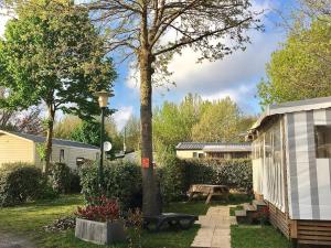 a yard with a tree and a bench and a house at Mobilhome neuf au camping La Réserve in Gastes +2 photos