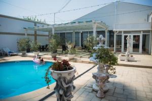 a swimming pool with potted plants next to a building at Hotel Imperium & Pool in Caracal
