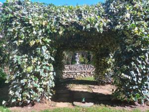 Gallery image of Nutwoods Park in Hogsback +32 photos