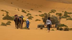 Hosté ubytování Merzouga Camping Trek