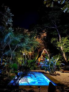 Zahrada ubytování Cabinas de Lou Eco Lodge TAMARINDO