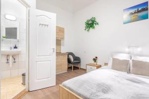 Central Simple Studio 1081 Budapest, Rákóczi út 61 kép - 2