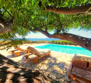a pool with two lounge chairs and a tree at Paros Afrodite Luxury Villas in Aliki