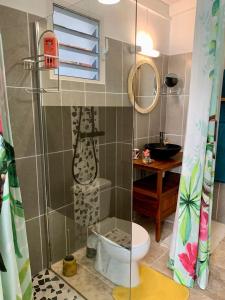 a bathroom with a shower with a toilet and a sink at Studio DREAM avec petit déjeuner in Pointe-Noire +16 photos