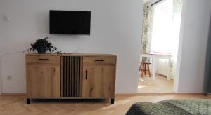 Televízia a/alebo spoločenská miestnosť v ubytovaní Apartament przy Parku