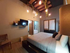 a bedroom with a large bed and a television at Independencia Dos 7 Hotel Boutique in Querétaro