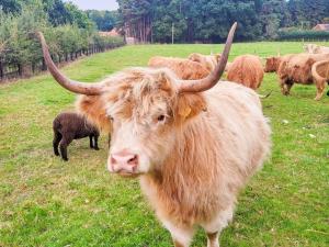 Άλλα ζώα σε αυτό το διαμέρισμα ή στη γύρω περιοχή +24 φωτογραφίες