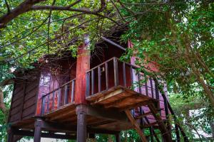 Zahrada ubytování Ceylon Amigos Eco Resort