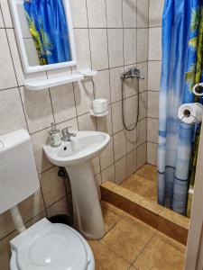 Koupelna v ubytování Pensiunea Casa montana