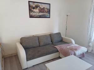 Posezení v ubytování Apartmán Silvie