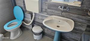 奥赫里德House Kostoski的浴室设有蓝色的卫生间和水槽。 更多42张照片