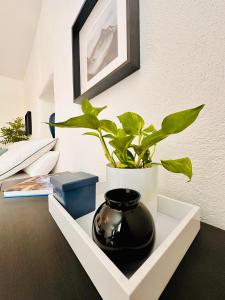 Fotografie z fotogalerie ubytování Schöne Ferienwohnung v destinaci Schottwien