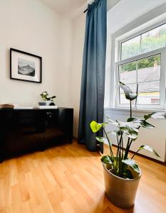 Fotografie z fotogalerie ubytování Schöne Ferienwohnung v destinaci Schottwien