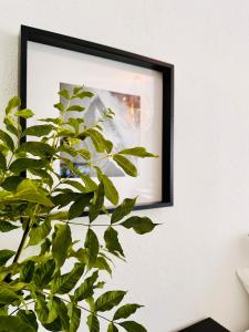 Fotografie z fotogalerie ubytování Schöne Ferienwohnung v destinaci Schottwien