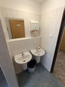 Koupelna v ubytování Hotel Bečva na Horní Bečvě