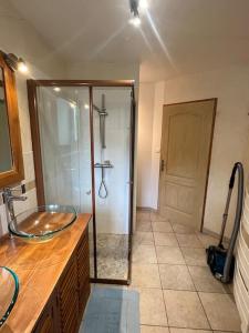a bathroom with a shower and a glass sink at Appartement 5 personnes avec espace plein air in Saint-Maurice-sur-Moselle +13 photos