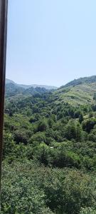 a view of a lush green valley with trees at Дом для отдыха близко Батуми in Batumi