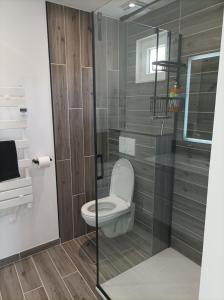 a bathroom with a toilet and a glass shower at L' Har & Lam in Leuilly-sous-Coucy +24 photos
