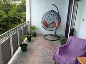 Gallery image of Sea-Gardens - Family Guest House in Batumi +38 photos