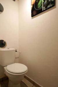 ein Badezimmer mit Toilette und einem Bild an der Wand in der Unterkunft Résidence Armagnac - City Center in Carcassonne + 25 Fotos