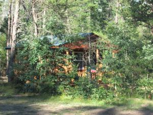 une maison masquée par des arbres dans les bois dans l'établissement Best Bear Lodge, à Irons