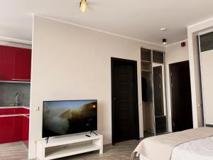 TV a/nebo společenská místnost v ubytování Alejas Apartments