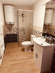 Koupelna v ubytování Apartmán Václavská 109