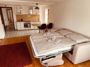 Kuchyň nebo kuchyňský kout v ubytování Apartmán Václavská 109