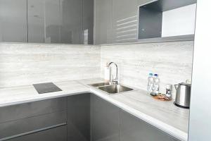 Kuchyň nebo kuchyňský kout v ubytování Alejas Apartments + 16 fotografií