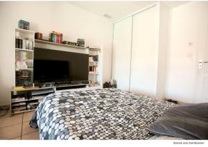 Μια τηλεόραση ή/και κέντρο ψυχαγωγίας στο chambre avec spa, fitness et petit dejeuner